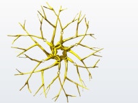 Snowflake Branches Ornament (9AVXMEF8L) by hlbrosnihanSnowflake Branches Ornament by hlbrosnihan on Shapeways