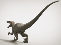 VELOCIRAPTOR V02 (UTAHRAPTOR) 1/14 (32XHJQZ2L) by Master_Print VELOCIRAPTOR V02 (UTAHRAPTOR) 1/14 by Master_Print on Shapeways