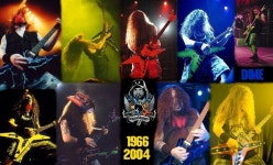 Pantera Wallpaper and Background Image | 1321x800 | ID:180022... Pantera Wallpaper and Background Image | 1321x800 | ID:180022