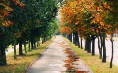 Path HD Wallpaper | Background Image | 1920x1200 | ID:527973 - Wallpaper Abyss  Path HD Wallpaper | Background Image | 1920x1200... 