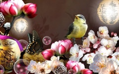 Vase Full HD Wallpaper and Background | 1920x1200 | ID:540012