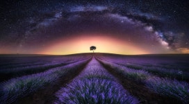 Lavender Field Under a Starry Sky HD Wallpaper | Background Image | 2048x1132 | ID:737444 - Wallpaper Abyss  Lavender Field Under... 