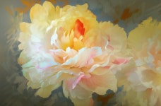 Flower HD Wallpaper | Background Image | 3200x2104 | ID:770001... Flower HD Wallpaper | Background Image | 3200x2104 | ID:770001