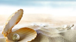 Shell HD Wallpaper | Background Image | 1920x1080 | ID:555458... Abyss  Shell HD Wallpaper | Background Image | 1920x1080 | ID...