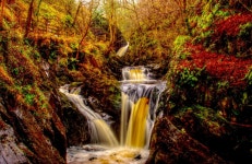 ID:700165 - Wallpaper Abyss  Autumn Forest Waterfall HD Wallpaper | Background Image | 3807x2475 | ID:700165