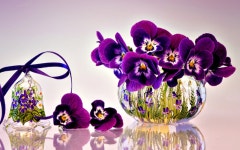 Still Life Computer Wallpapers, Desktop Backgrounds | 1920x1200 | ID:702011