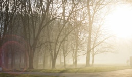 Park HD Wallpaper | Background Image | 2048x1189 | ID:770024... Abyss  Park HD Wallpaper | Background Image | 2048x1189 | ID:770024