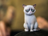 Grumpy Cat (H4454KUDD) by ManuelPoehlau Grumpy Cat by ManuelPoehlau on Shapeways