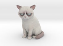 Grumpy Cat (H4454KUDD) by ManuelPoehlau Grumpy Cat by ManuelPoehlau on Shapeways