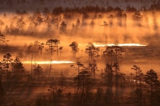 Fog HD Wallpaper | Background Image | 2048x1365 | ID:1089838 - Wallpaper Abyss  Fog HD Wallpaper | Background Image | 2048x1365... 