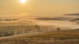 Fog 4k Ultra HD Wallpaper | Background Image | 3840x2160 | ID:1093794 - Wallpaper Abyss  Fog 4k Ultra HD Wallpaper | Background... 