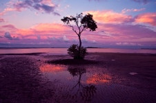 HDR Full HD Wallpaper and Background Image | 2560x1700 | ID:150016