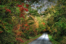 Road Computer Wallpapers, Desktop Backgrounds | 1280x854 | ID:194164