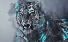 Tiger HD Wallpaper | Background Image | 2560x1600 | ID:697731 - Wallpaper Abyss  Tiger HD Wallpaper | Background Image... 