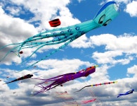 Colorful flying kites HD Wallpaper | Background Image | 2280x1752 | ID:698973 - Wallpaper Abyss  Colorful flying kites HD... 