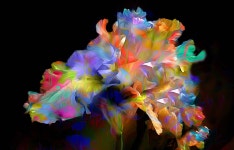 ID:700087 - Wallpaper Abyss  Abstract Flower HD Wallpaper | Background Image | 2048x1312 | ID:700087