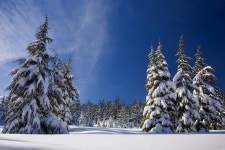 ID:780130 - Wallpaper Abyss  Deschutes National Forest, central... USA HD Wallpaper | Background Image | 2200x1466 | ID:780130