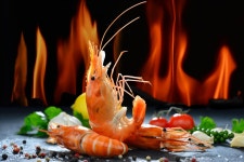 Shrimp 4k Ultra HD Wallpaper | Background Image | 5000x3336 | ID:880054 - Wallpaper Abyss  Shrimp 4k Ultra HD Wallpaper... 