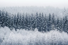 Winter HD Wallpaper | Background Image | 1920x1274 | ID:900064... Winter HD Wallpaper | Background Image | 1920x1274 | ID:900064