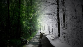 Manipulation HD Wallpaper | Background Image | 1920x1080 | ID:300989 - Wallpaper Abyss  Manipulation HD Wallpaper | Background... 