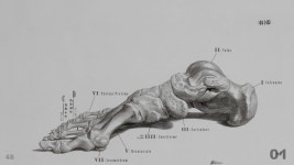 How the hell am I suppose to categorize that Wallpaper and Background | 1440x810 | ID:317012