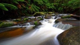 River HD Wallpaper | Background Image | 1920x1080 | ID:544034 - Wallpaper Abyss  River HD Wallpaper | Background Image... 
