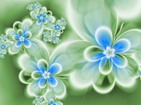 Abstract Flowers 5k Retina Ultra HD Wallpaper and Background | 6000x4500 | ID:700063