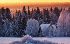 ID:700142 - Wallpaper Abyss  House in Winter Forest HD Wallpaper | Background Image | 1920x1200 | ID:700142