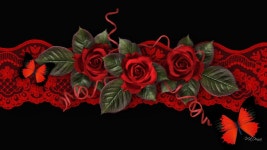 Red Roses and Butterflies Computer Wallpapers, Desktop Backgrounds | 1920x1080 | ID:702009