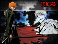 Bleach Wallpaper and Background Image | 1281x961 | ID:305006