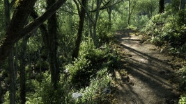 Path Computer Wallpapers, Desktop Backgrounds | 1600x900 | ID:317011