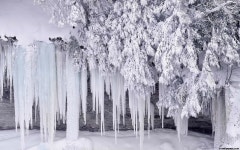 Winter Computer Wallpapers, Desktop Backgrounds | 1920x1200 | ID:370103