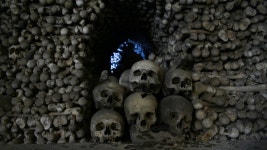 Skull Computer Wallpapers, Desktop Backgrounds | 1920x1080 | ID:401955