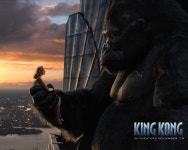 King Kong (2005) Wallpaper and Background Image | 1280x1024... Kong (2005) Wallpaper and Background Image | 1280x1024 | ID:584976