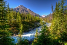 Forest River Computer Wallpapers, Desktop Backgrounds | 3072x2036 | ID:700031