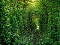 Tunnel of love, Ukraine 电脑壁纸，桌面背景 | 2048x1536 | ID:705846