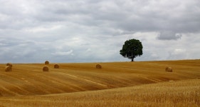 ID:780055 - Wallpaper Abyss  Field 4k Ultra HD Wallpaper | Background Image | 4231x2256 | ID:780055