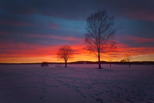 ID:780169 - Wallpaper Abyss  Winter Sunset HD Wallpaper | Background Image | 2048x1365 | ID:780169