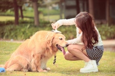 Asian Full HD Wallpaper and Background Image | 3000x2000 | ID:829008