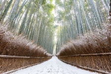 Path HD Wallpaper | Background Image | 2560x1707 | ID:905007... Abyss  Path HD Wallpaper | Background Image | 2560x1707 | ID:905007