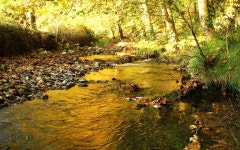 River HD Wallpaper | Background Image | 2560x1600 | ID:362976 - Wallpaper Abyss  River HD Wallpaper | Background Image... 