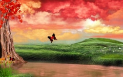 Evening Fire Wallpaper and Background Image | 1280x800 | ID:394005