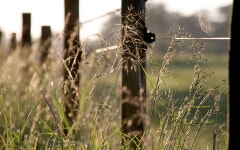 Fence HD Wallpaper | Background Image | 1920x1200 | ID:570010... Fence HD Wallpaper | Background Image | 1920x1200 | ID:570010