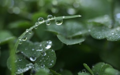 ID:700108 - Wallpaper Abyss  Water Drop HD Wallpaper | Background Image | 2560x1600 | ID:700108