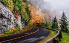Autumn Road Full HD Wallpaper and Background | 1931x1210 | ID:732150