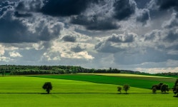 Field 4k Ultra HD Wallpaper and Background | 4946x2980 | ID:771022