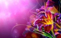 Lily HD Wallpaper | Background Image | 2560x1600 | ID:780138... Abyss  Lily HD Wallpaper | Background Image | 2560x1600 | ID:780138
