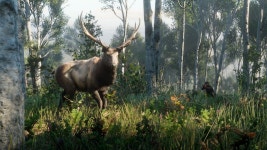 ID:950037 - Wallpaper Abyss  Deer 4k Ultra HD Wallpaper | Background Image | 3840x2160 | ID:950037