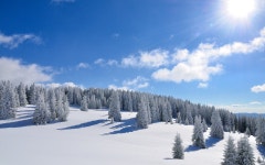 Winter HD Wallpaper | Background Image | 2560x1600 | ID:370108... Winter HD Wallpaper | Background Image | 2560x1600 | ID:370108