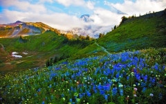 Mountain Landscape in Spring Computer Wallpapers, Desktop Backgrounds | 1920x1200 | ID:690099
